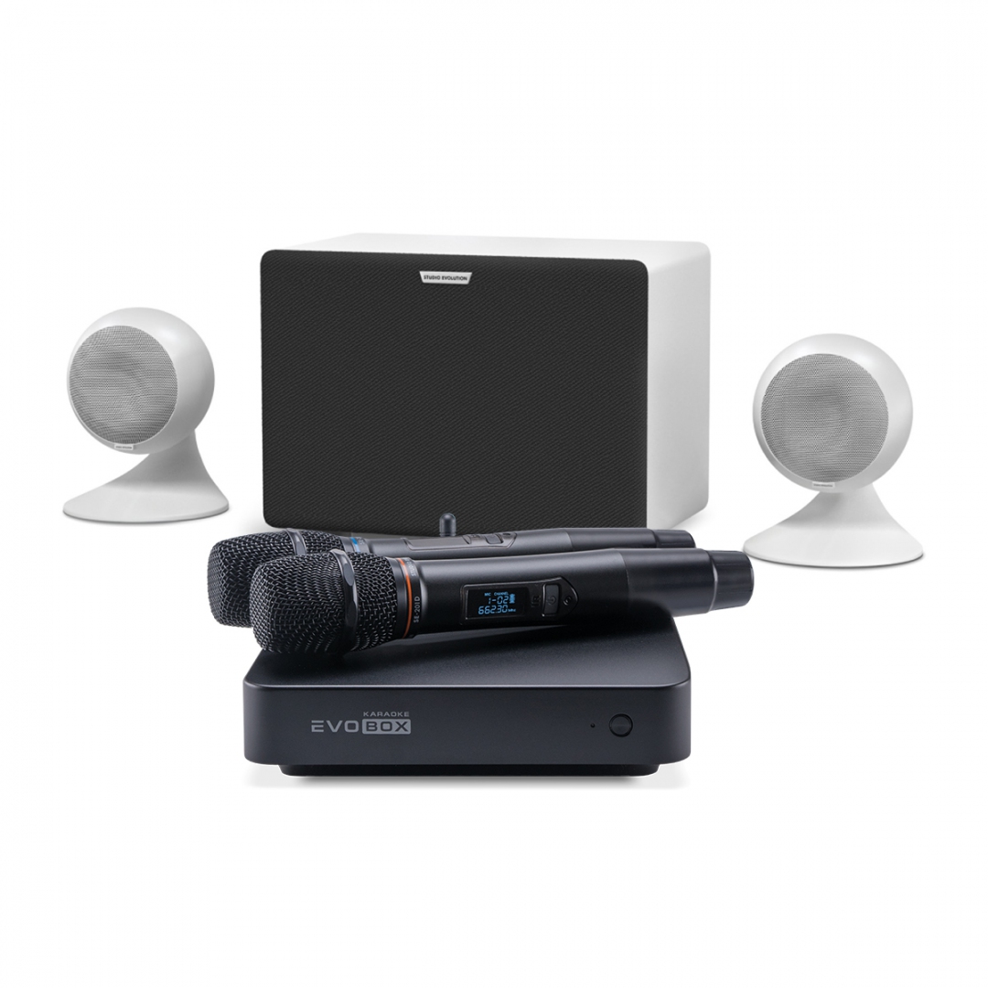 караоке-комплект EVOBOX Classic + EvoSound Sphere 2.1 в Керчи