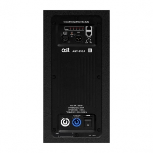 Активная акустическая система AST-310A в Керчи